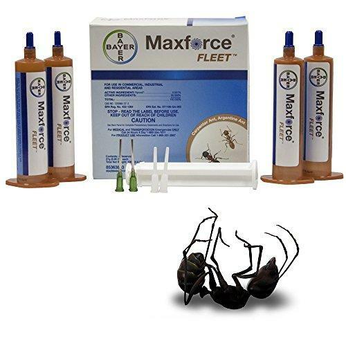 Maxforce bayer ant killer - bayer,